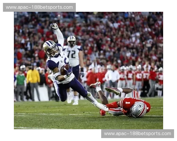 橄榄球回放：让每一次触碰都成为经典